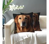 FJWSLCH Decorative Throw Pillow Covers 18"x18" Modern Square Cushion Covers Double-Sided Designs Soft Cozy Pillowcase Golden Retriever Pillow Cases for Sofa Bedroom Home Decorations