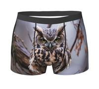 FJWSLCH Owl on a branch Boxer Briefs for Men Breathable Men's Underwear Comfortable Stretch Trunks Underwear, Black, Large