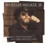 Fk You Bitch All-Time Greatest Hits LP [VINYL]