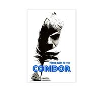 FKBALCZ Three Days of The Condor Canvas Poster Bedroom Decor Landscape Office Room Decor Gift 16x24inch(40x60cm)