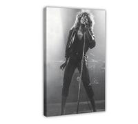 FKBALCZ Tina Turner Live in Concert Performance Poster Canvas Poster Bedroom Decor Landscape Office Room Decor Gift 20x30inch(50x75cm)