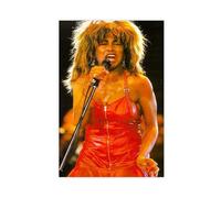 FKBALCZ TINA TURNER ROTES LEDER Canvas Poster Bedroom Decor Landscape Office Room Decor Gift 12x18inch(30x45cm)