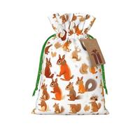 FKGKDF Cute Squirrels Print Christmas Drawstring Present Bag, Reusable Holiday Goodie Bag For Presents