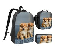 FKHOHL Pomeranians Puppies And Point Print Breathable Backpack Set-3 In 1 Lunch Bag Pen Case Convenient Carry Snacks Drinks
