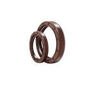 FKM Oil Seal TC Double Lip Seals with Spring,Metal Skeleton,Fluorine Rubber Coating,2 pieces in a pack,ID:13-17mm (Size : 13x22x5)