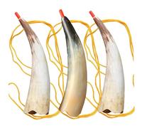 fkngcp War Horn, 3PCS Vintage Viking Horn, Clear Sound Blow, Portable Viking War with Strap for Cosplay Party Festival Ceremonies Kids Gifts Bullhorn