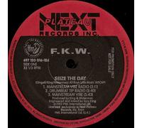 Fkw - Seize the Day [VINYL]