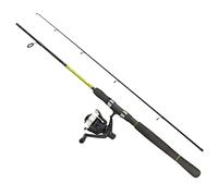 FLADEN XTRA FLEXX - (2.4m/8ft) 2 Piece (cw 10-40g) Basalt Extra Heavy Lift - Spinning Rod and CHARTER II Size 40 Pre-Spooled Spinning Reel Combo - Available in PINK or GREEN - Fresh or Sea Water Multi Use