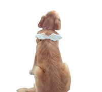 FLAdorepet Pet Dog Angel Wings Halloween Cat Costume for Small Medium Dog (One Size, White)