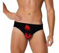 Flag Map of Albania Men's Swim Brief Sexy Bikini Swimwear Bathing Swimsuit Trunks L