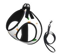 Flag Map of India print Dog Harness and Leash Set, Reflective Adjustable Puppy Vest for Small Medium Large Dogs, Cats
