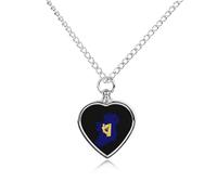 Flag Map of Kingdom of Ireland Novelty Pet Urn Necklace Ash Holder Cremation Keepsake Memorial Jewelry