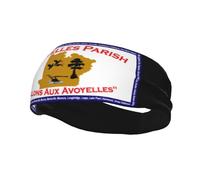 Flag of Avoyelles Parish, Louisiana Headbands Men Women Non Slip Wicking Sports Sweatband for Gym Basketball Yoga Hairbands