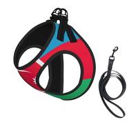 Flag of Azerbaijan Print Soft Mesh Dog Harness and Leash Set Pet Puppy Cat Comfort Padded Vest No Pull Harnesses