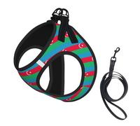Flag of Azerbaijan Print Step in Dog Harness and Leash Set,Adjustable Reflective Harness for Small Dogs Cats