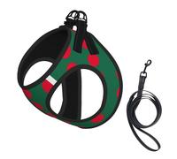 Flag Of Bangladesh Print Dog Harness Small Sized And Leash Set, Step In Soft Light Puppy Vest Breathable Mesh Pet Harness