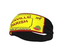 Flag of Bienville Parish, Louisiana Headbands Men Women Non Slip Wicking Sports Sweatband for Gym Basketball Yoga Hairbands