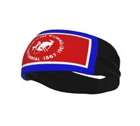 Flag of Cheyenne, Wyoming (1967-1985) Headbands Men Women Non Slip Wicking Sports Sweatband for Gym Basketball Yoga Hairbands