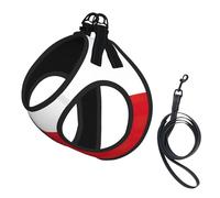 Flag of Chile print Dog Harness and Leash Set, Reflective Adjustable Puppy Vest for Small Medium Large Dogs, Cats