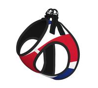 Flag Of Costa Rica Print Adjustable Reflective Harness Leash Set For Cats, Dogs And Small Pets, Soft Breathable Mesh Walking Vest With Escape-Proof Lead