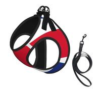 Flag of Costa Rica print Dog Harness and Leash Set, Reflective Adjustable Puppy Vest for Small Medium Large Dogs, Cats