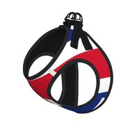 Flag of Costa Rica Print Step in Dog Harness and Leash Set,Adjustable Reflective Harness for Small Dogs Cats
