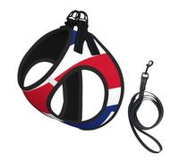 Flag of Costa Rica Print Step in Dog Harness and Leash Set,Adjustable Reflective Harness for Small Dogs Cats