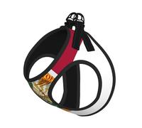 Flag Of Florida Print Harness Leash Set For Cats And Dogs, Reflective Adjustable, Soft Breathable Mesh Vest With Escape-Proof Lead, For Small Pets And Kitten Puppies