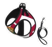 Flag Of Florida Print Pet Leash Vest Reflective Adjustable Soft Mesh Vest Breathable For Daily Walks