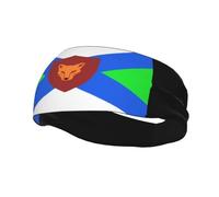 Flag of Fox River Grove, Illinois Headbands Men Women Non Slip Wicking Sports Sweatband for Gym Basketball Yoga Hairbands