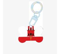 Flag of Gibraltar Dog Tags for Pets,Bone-Shaped Acrylic Pet ID Tags,Perfect for Small to Large Dogs and Cats,Cute & Functional