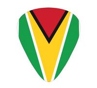 Flag of Guyana Guitar Picks 12 Pack Assorted Thickness-0.46mm 0.71mm 0.96mm Thin Medium Heavy Picks for Acoustic Electric Guitar Ukulele