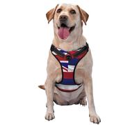 Flag of Hawaii American reflective Oxford unobstructed pet vest, easy to control handle, suitable for small, medium and large dogs