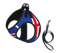 Flag Of Iceland Print Dog Harness Small Sized And Leash Set, Step In Soft Light Puppy Vest Breathable Mesh Pet Harness