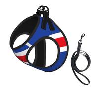 Flag of Iceland Print Soft Mesh Dog Harness and Leash Set Pet Puppy Cat Comfort Padded Vest No Pull Harnesses