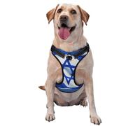 Flag of Israel Dog Harness for Small, Medium, and Large Dogs â€“ Reflective Straps, Adjustable Fit with Quick-Release Buckles