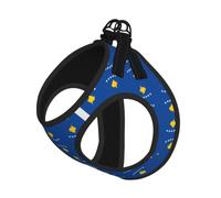 Flag Of Kosovo Pet Leash Vest For Small Dogs Cats Reflective Adjustable Soft Outdoor Walking Hiking Training
