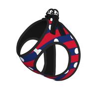 Flag of Laos Print Step in Dog Harness and Leash Set,Adjustable Reflective Harness for Small Dogs Cats