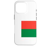 Flag of Madagascar, Flag of The Republic of Madagascar Case for iPhone 16 Pro