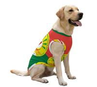 Flag of Madagascar National Emblem Dog Clothes Sleeveless Pet Vest Cute Costume Coat Tee Jacket for Large Dogs