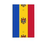 Flag of Moldova Printed Decorative Switch Covers-Durable Single and Double Socket Plates for Light SwitchesStyle V