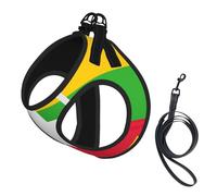 Flag Of Myanmar Print Small Dog Harness And Leash Set, Adjustable Soft Vest With 360° Reflective Straps For Cats Puppy