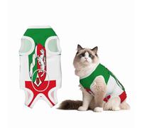 Flag of North Rhine Westphalia Recovery Suit for Dogs Cats After Surgery,Pet Recovery Shirt, Dog Onesies Pet Surgery Recovery Suit