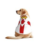 Flag of Northern Ireland Dog Shirt for Large & Medium Dogs - Mesh Breathable Pet T-Shirts, Perfect for Daily Wear and Special Occasions