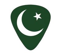 Flag of Pakistan print Guitar Picks 12 Pack Assorted Thickness for Guitar,ukulele,0.46/0.71/0.96mm