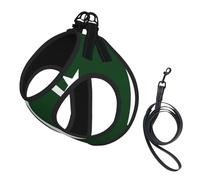 Flag Of Pakistan Print Small Dog Harness And Leash Set, Adjustable Soft Vest With 360° Reflective Straps For Cats Puppy