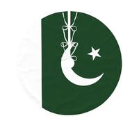 Flag of Pakistan Tree skirt, Christmas family gatherings, indoor and outdoor decorations for Christmas trees
