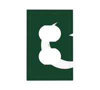 Flag of Pakistan Unbreakable Polycarbonate Switch Plate-Modern 1 Gang Light Cover for Home Office with Matching Screws