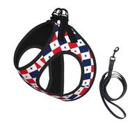 Flag Of Panama Print Small Dog Harness And Leash Set, Adjustable Soft Vest With 360° Reflective Straps For Cats Puppy