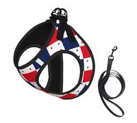 Flag of Panama Print Step in Dog Harness and Leash Set,Adjustable Reflective Harness for Small Dogs Cats